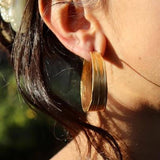 PICO Olive Grande Studs øreringe - guld