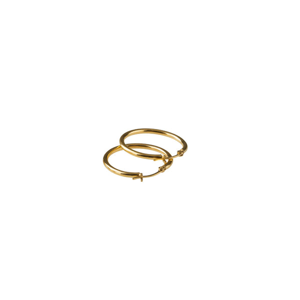 PICO Basic Medium Hoop øreringe - guld