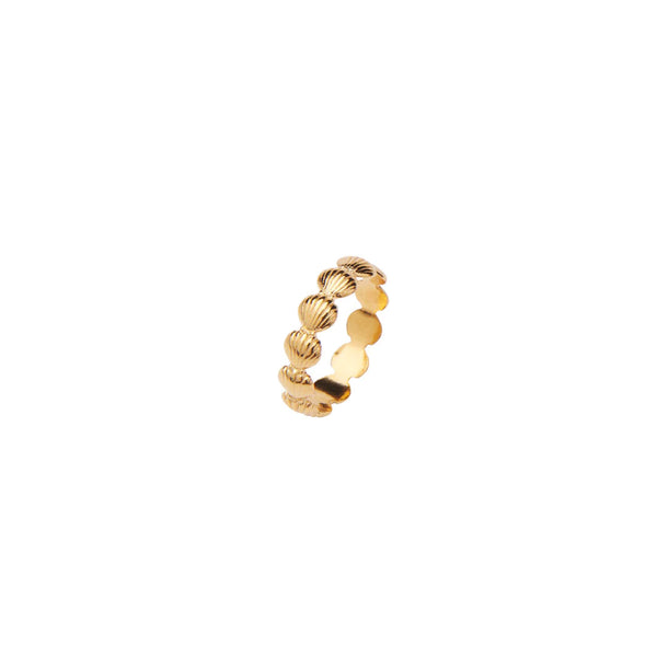 PICO Coquille muslinge ring - guld